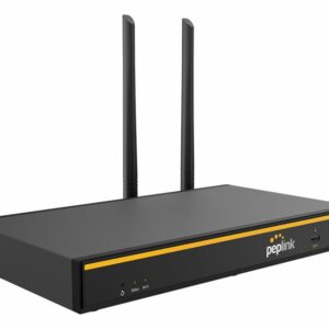 Peplink B One