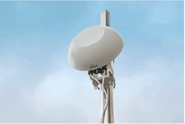 Peplink HD1 Dome Pro - Image 2